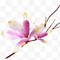 粉红色鎏金玉兰花
