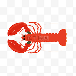 大钳子龙虾插画图片_红色海鲜龙虾插画