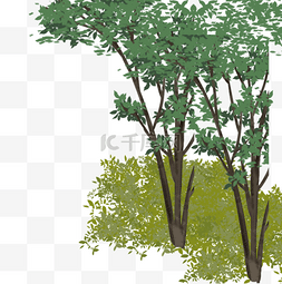 茂盛大树图片_两颗绿色的大树茂盛