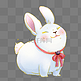 白色玉兔