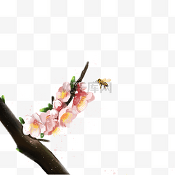 新鲜的桃花树免抠图