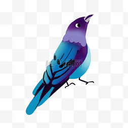 彩色小鸟插画图片_彩色创意小鸟元素