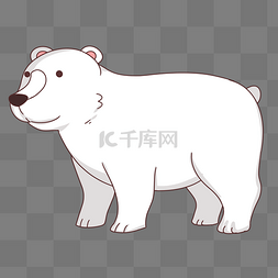 白色可爱北极熊