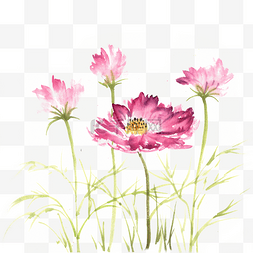 写意国画花卉图片_中国风紫红色的花卉