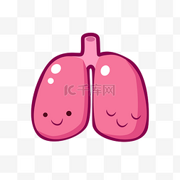 人体器官红色的肺