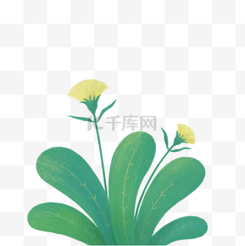 手绘绿色植物绿叶花朵小草夏天