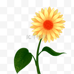 盛夏的图片_卡通黄色的向日葵