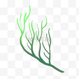 热带植物绿色珊瑚型植物