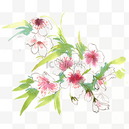 中国风水墨画素材图片_美丽的花卉
