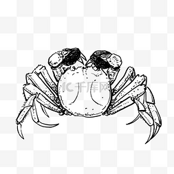 食物黑白线描图片_线描螃蟹