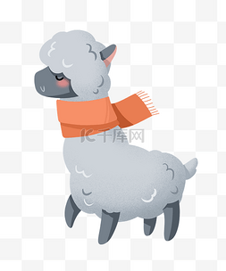 灰色羊驼哺乳动物