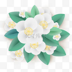 白色纸花朵图片_立体白色花朵和