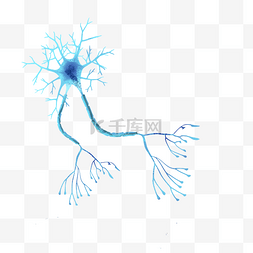 脑神经脑细胞