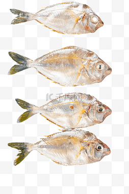 海鲜油叶鱼