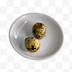 鹌鹑蛋实物蛋类
