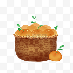 秋天丰收季节橘子