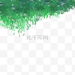 清新图片_绿色清新树叶背景