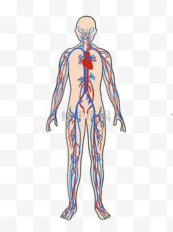 恶搞的骨骼图片_人体骨骼全身