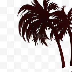 海岸椰树图片_黑色的沙滩椰子树