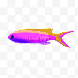 紫色深海鱼