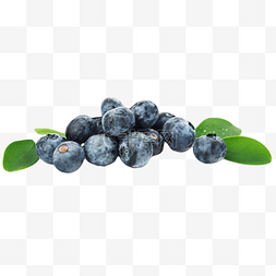 蓝莓先生图片_水果蓝莓
