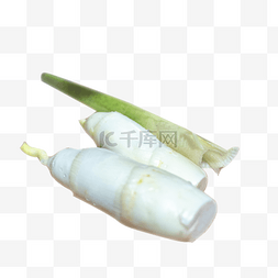 芦笋蔬菜