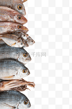 鱼多图片_新鲜水产杂鱼
