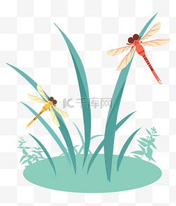 卡通png蜻蜓图片_蜻蜓飞翔卡通动物