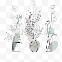 花盆植物兰图片_植物莫兰迪色元素
