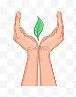 手托绿色植物插图