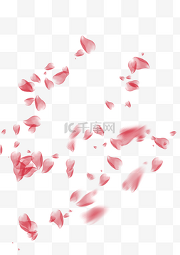 花瓣png透明图片_红色花瓣飘落漂浮