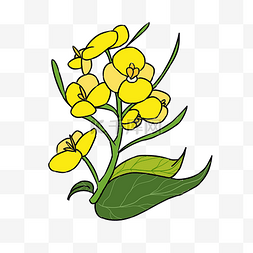 唯美鲜花一束图片_唯美鲜花黄色花朵
