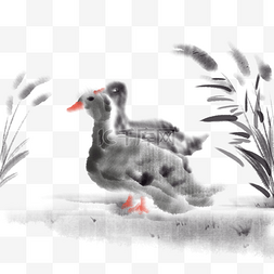 中国风水墨画鸭子