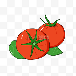 番茄图片_高清摄影红色的西红柿