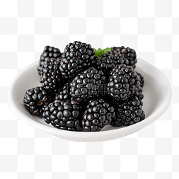 黑莓水果健康营养食品美食