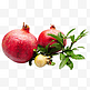 红皮石榴水果