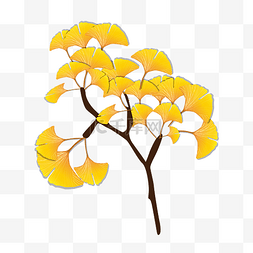金黄的图片_秋天金黄的银杏树叶子