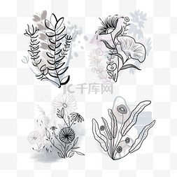 莫兰迪植物插画图片_花草植物莫兰迪色