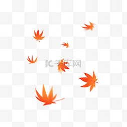 秋天枫树树叶素材图片_秋天枫树树叶元素