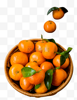砂糖橘子图片_新鲜砂糖橘