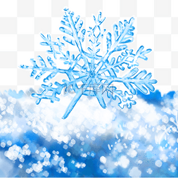 冬天冬季立冬冬至雪花