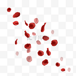 红色花瓣雨图片_手绘仿真红色玫瑰花瓣漂浮装饰透