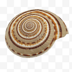 一个蜗牛生物