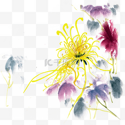 水墨画绽放的菊花