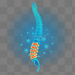 矢量医学图片_矢量正侧面视图脊椎
