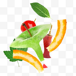 水果分类图片_卡通水果食品垃圾