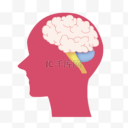 电路板大脑图片_大脑粉色智力免扣手绘素材