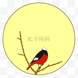 中国风花鸟圆形边框红腹红尾鸲矢