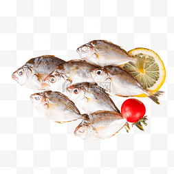 海鲜鱼类水产图片_海鲜水产冰镇油叶鱼