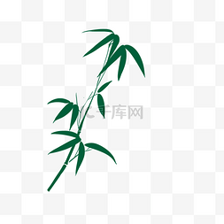 卡通竹子植物图片_矢量竹子枝桠免抠图